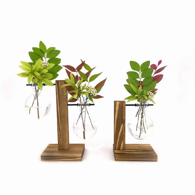 Amareto Terrarium – Handcrafted Glass & Natural Wood Eco-Friendly Decor