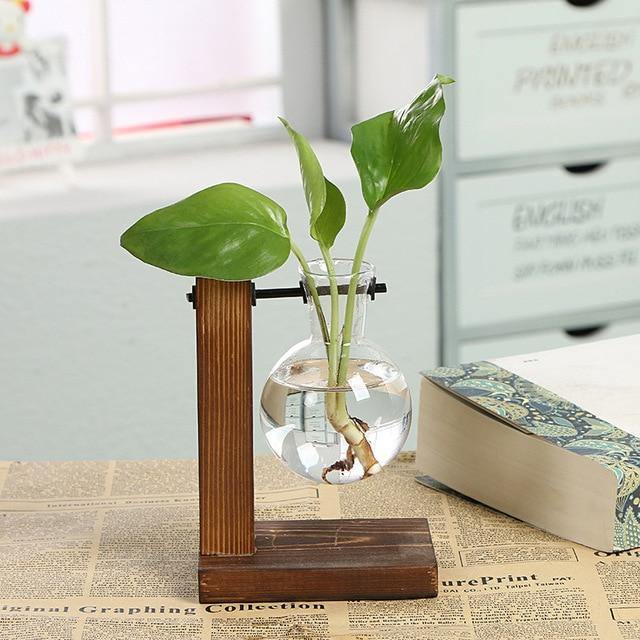 Amareto Terrarium – Handcrafted Glass & Natural Wood Eco-Friendly Decor
