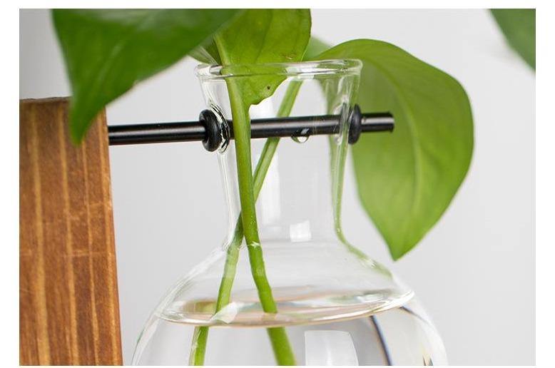 Amareto Terrarium – Handcrafted Glass & Natural Wood Eco-Friendly Decor